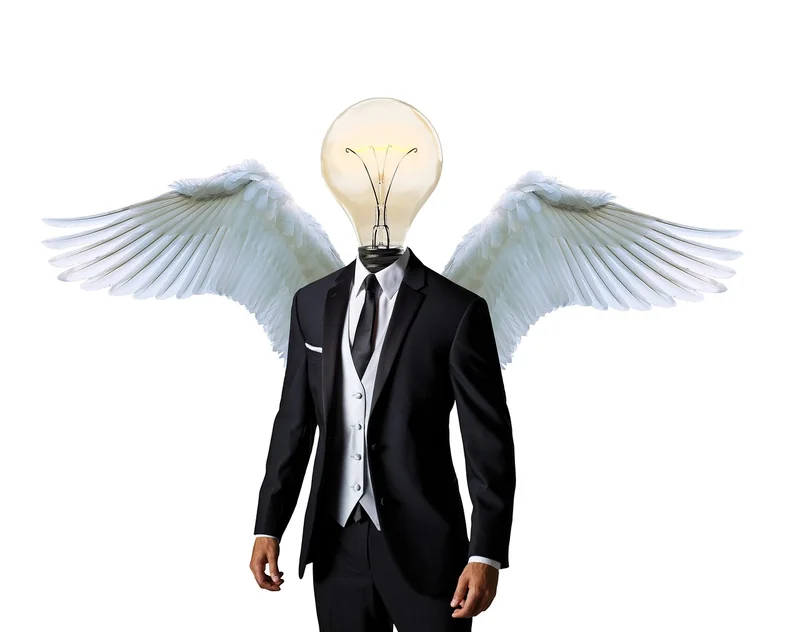 2. Business angels : trouver le bon oiseau rare